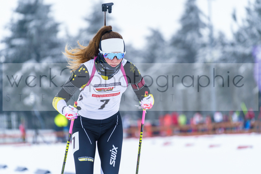 DP Oberwiesenthal | Alpencup/DP Deutschlandpokal in Oberwiesenthal am 15.-17.12.2023