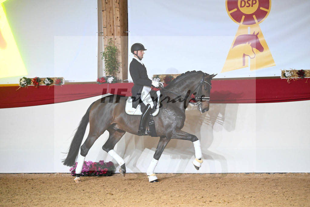 Knock Out_1234868 | hf-fotografie - Realisiert mit Pictrs.com