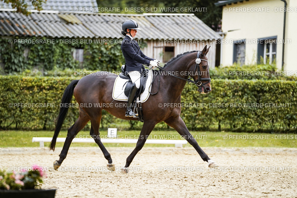 DSC00907 | Pferdegrafie