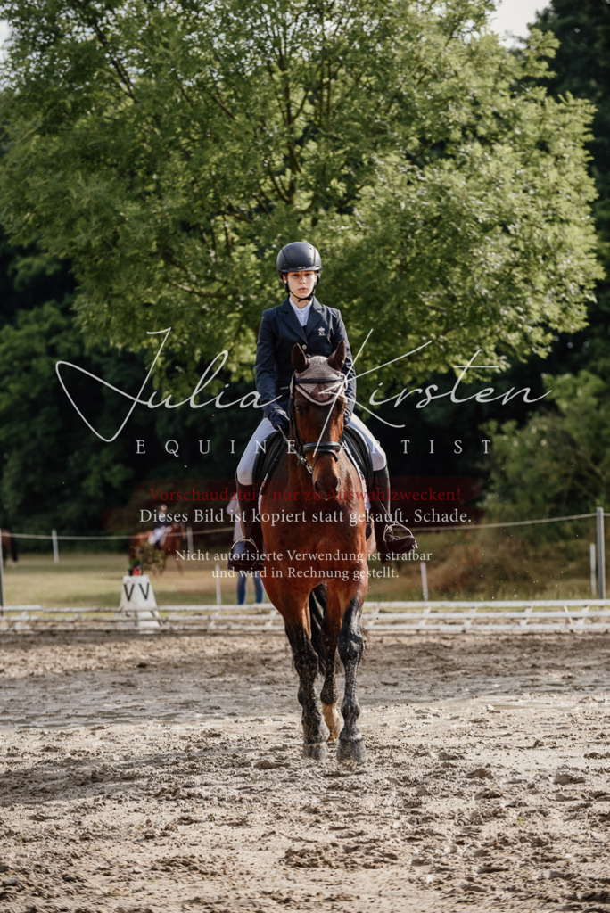 DSC_8614 | Pferde- und Turnierfotografie in Westsachsen. Pferdeportraits, Auftragszeichnungen und intuitive Kunst.