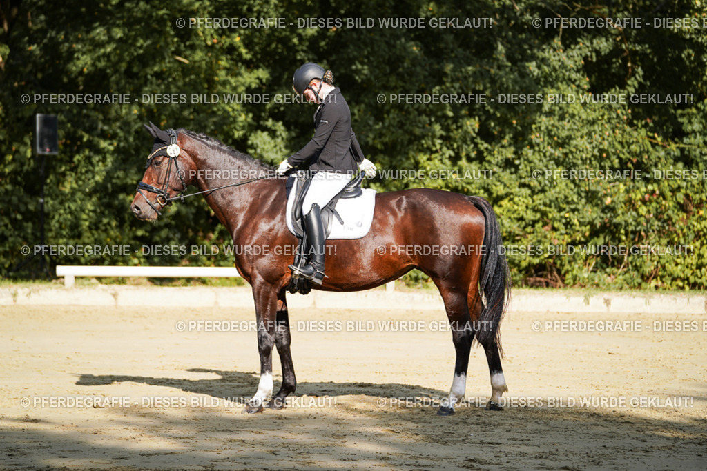 DSC08069 | Pferdegrafie