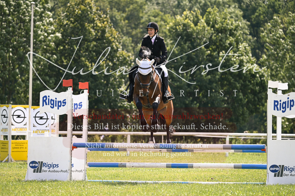 DSC_9012 | Pferde- und Turnierfotografie in Westsachsen. Pferdeportraits, Auftragszeichnungen und intuitive Kunst.