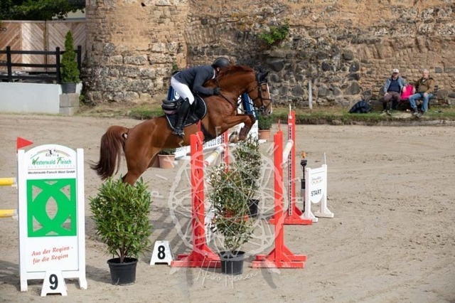 2B4A1240 | pixelfaenger - Realisiert mit Pictrs.com