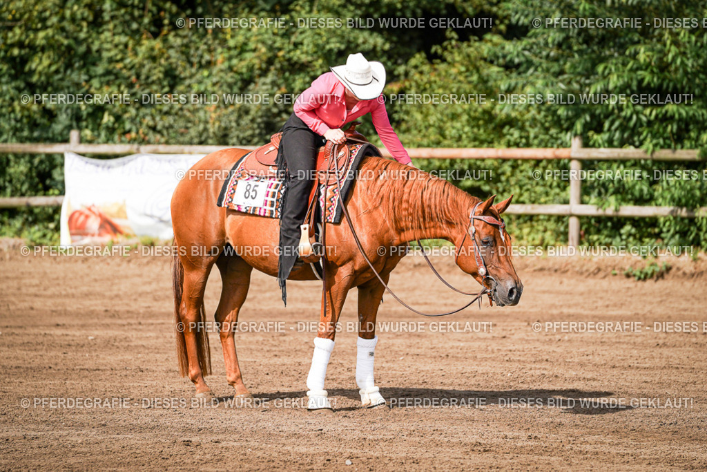 DSC09478 | Pferdegrafie