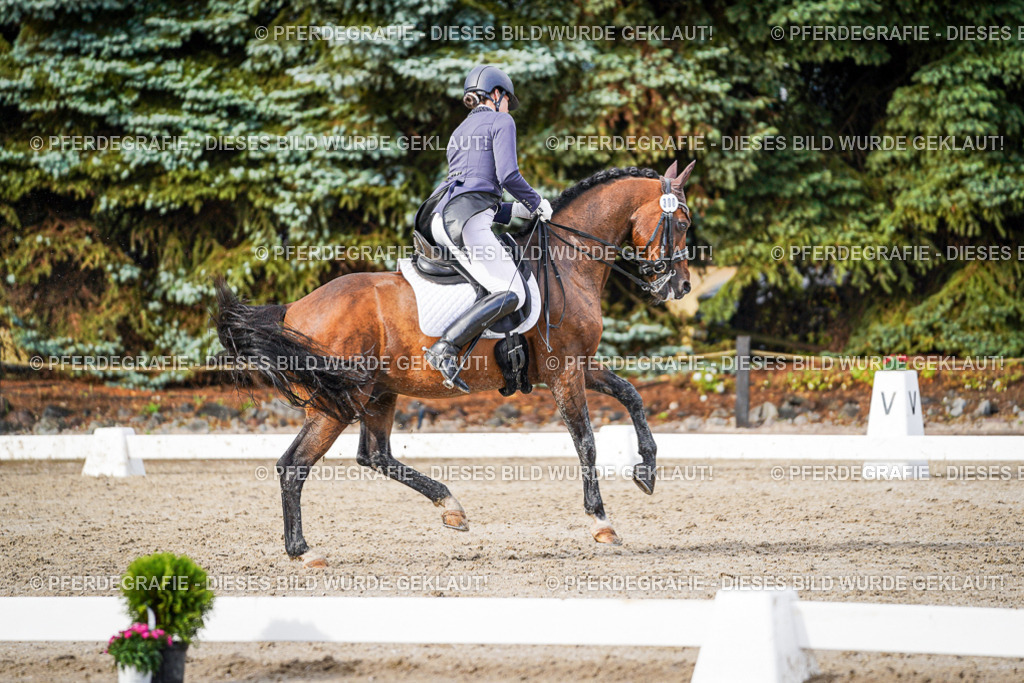 DSC00347 | Pferdegrafie