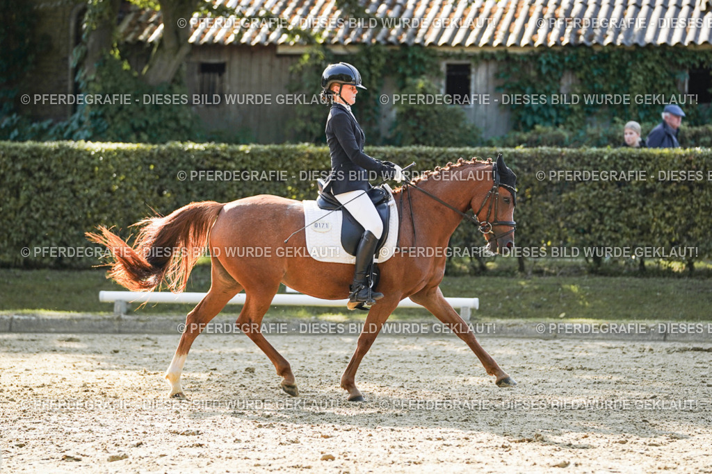 DSC06181 | Pferdegrafie