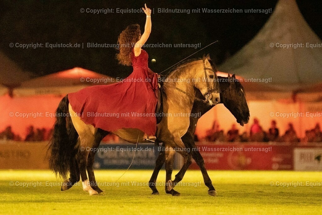 20230526_Pferdenacht_1459 | equistock