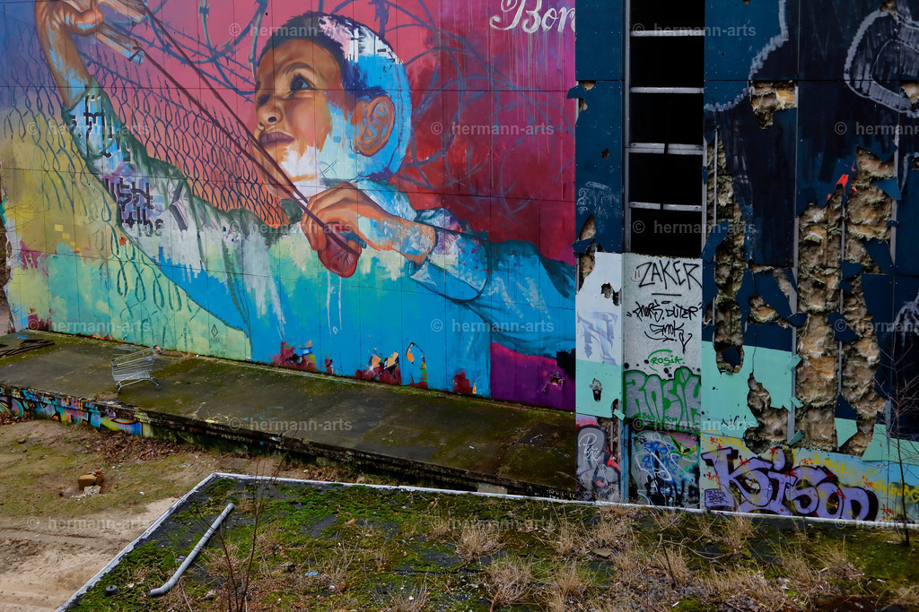 Street-Art-016 | Photo Foto Kunst Art schwarzweiss Bilder Rheine Münster Berlin Blumen 