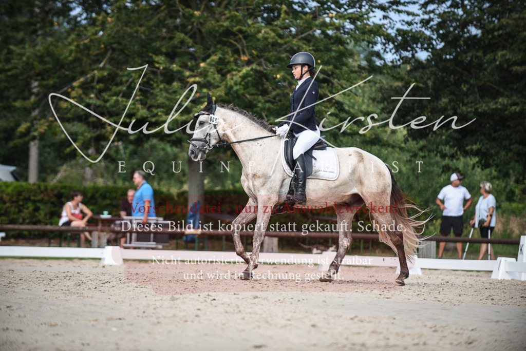 DSC_8681 | Pferde- und Turnierfotografie in Westsachsen. Pferdeportraits, Auftragszeichnungen und intuitive Kunst.