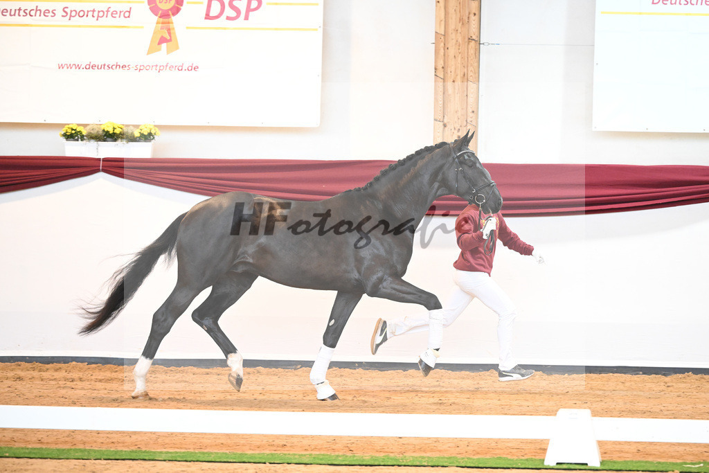 Kat-Nr. 22 v. Don Juan de Hus_Mueller_66220670 | hf-fotografie - Realisiert mit Pictrs.com