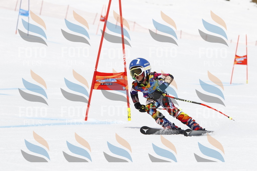 _U3G7172 | holidayphoto