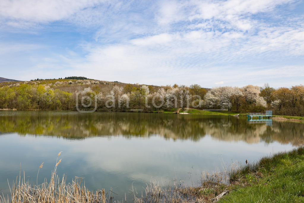 A.Trupina-234 | antonija-trupina - Realisiert mit Pictrs.com