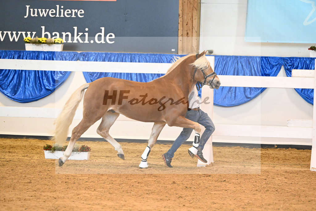 Kat-Nr. 18 Alois v. Amari_Reisberger_60220272 | hf-fotografie - Realisiert mit Pictrs.com