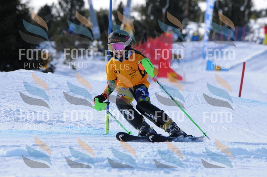 C6992 | holidayphoto