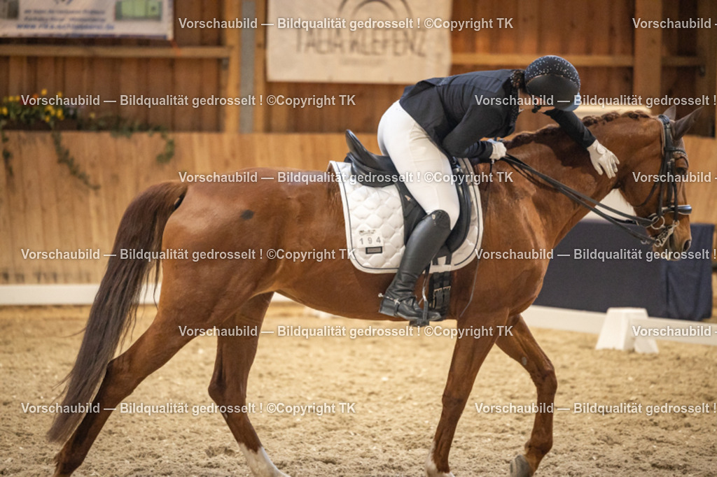 _D5A9739 | Emotionale Pferde- & People-Fotografie rund um Heidelberg, Leimen & Umgebung. Natürliche Fotos von Pferd, Mensch & Familie. Jetzt Termin sichern!