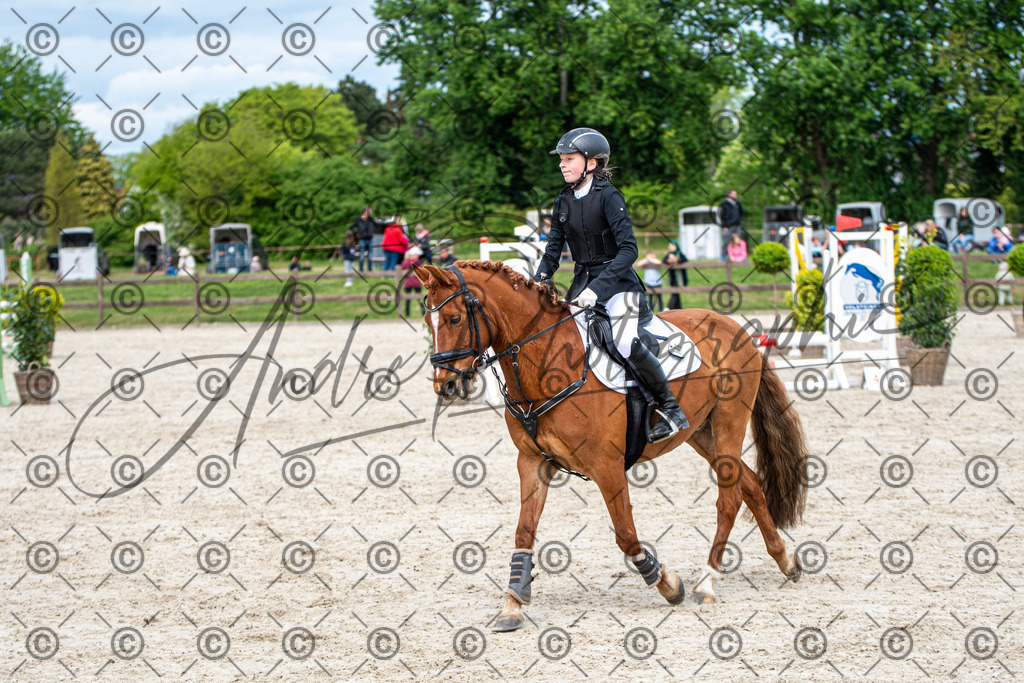 KPT_5973 | andre_photographic