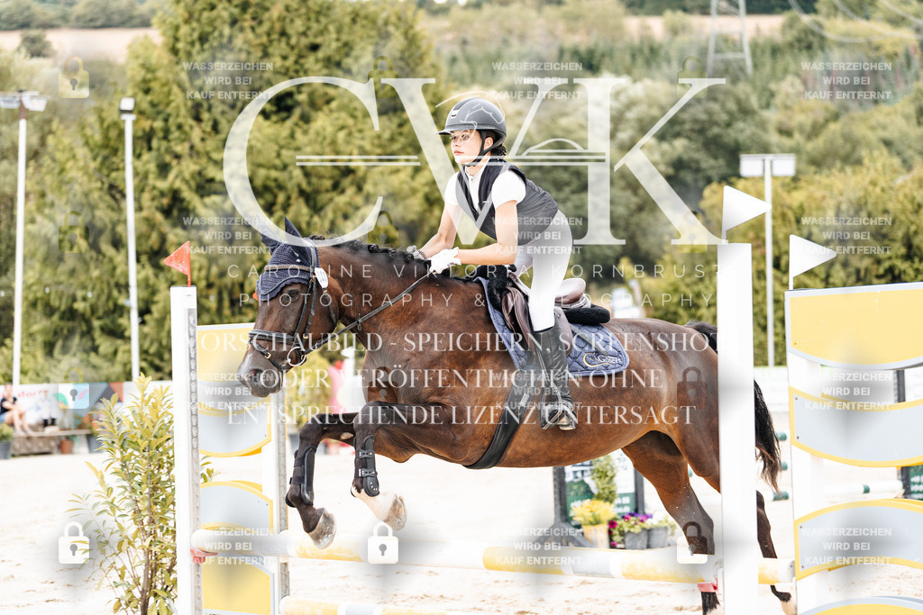 CK908090 | Turnierfotografie Pferdefotografie Trier Rheinland-Pfalz Pferdesport Reitsport Tierfotografie Sportfotografie Pferdevideo Pferdevideografie Equestrianvideography equestrianphotography  - Realisiert mit Pictrs.com