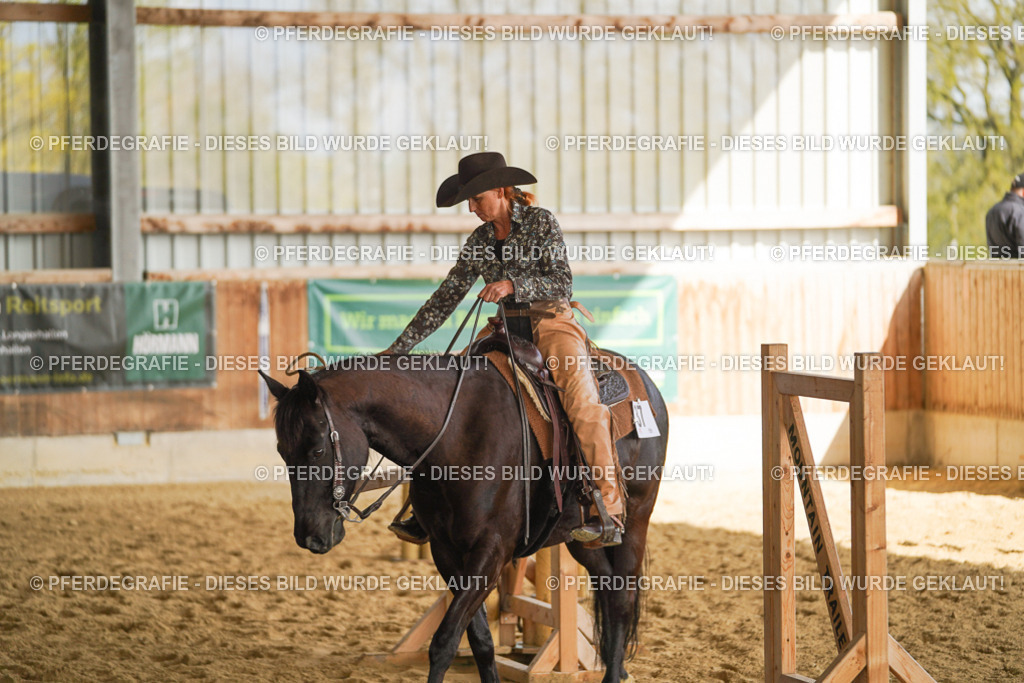 DSC01887 | Pferdegrafie