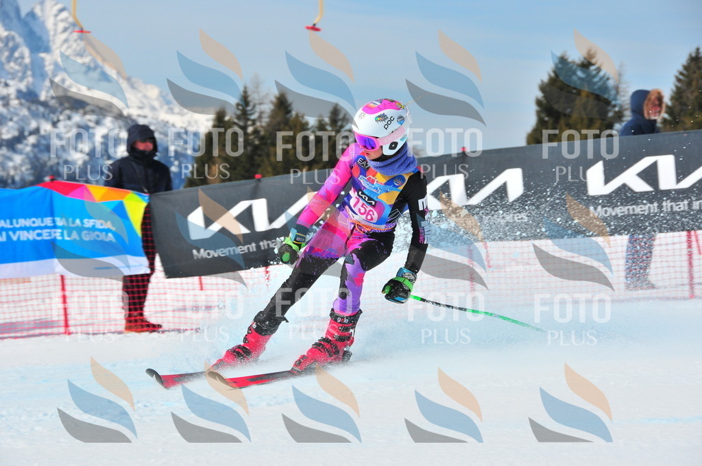 DSC_5130 | holidayphoto