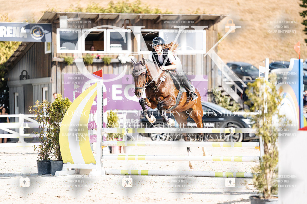 CK909287 | Turnierfotografie Pferdefotografie Trier Rheinland-Pfalz Pferdesport Reitsport Tierfotografie Sportfotografie Pferdevideo Pferdevideografie Equestrianvideography equestrianphotography  - Realisiert mit Pictrs.com