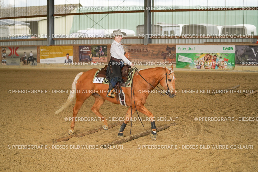 DSC02583 | Pferdegrafie