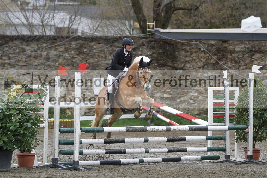 _MG_3535 | equestrian-live-com
