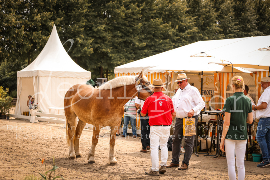 SaSieger00029 | Leoni Ertmer Photography - Realisiert mit Pictrs.com