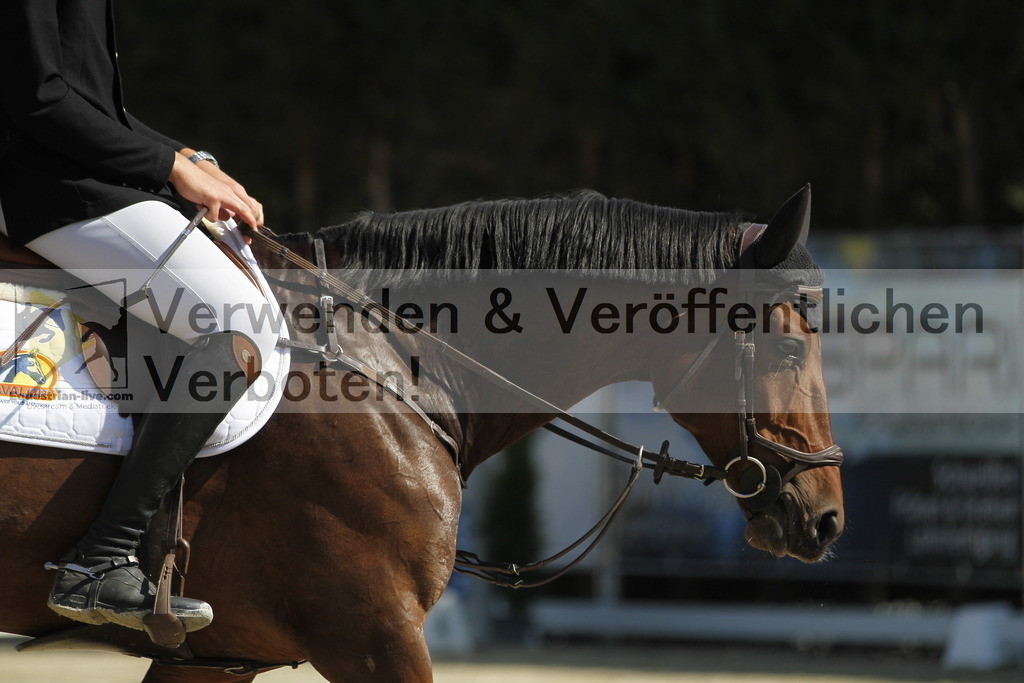 _MG_8050 | equestrian-live-com