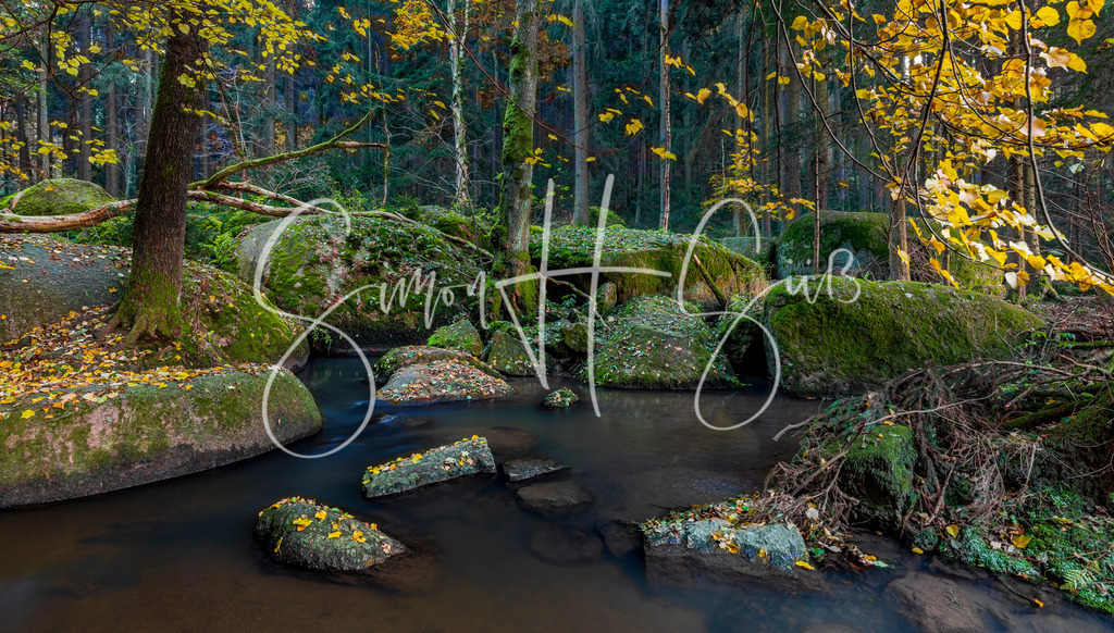 Doost | simonsuess - Realisiert mit Pictrs.com