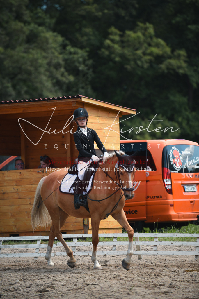 DSC_2423 | Pferde- und Turnierfotografie in Westsachsen. Pferdeportraits, Auftragszeichnungen und intuitive Kunst.
