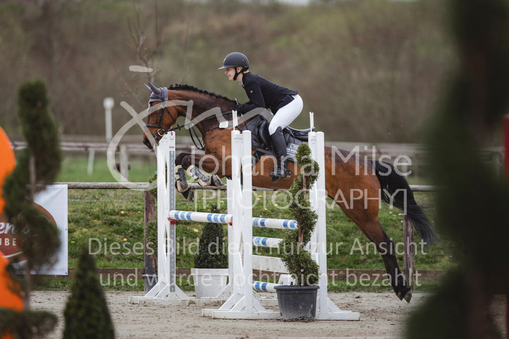 240330_Fruehlingsfest_Stil-A2-2-713 | Deine schönsten Turniermomente als professionelle Fotos! Entdecke hochwertige Pferdesport-Fotografie im Online-Shop. Jetzt Fotos finden & bestellen!