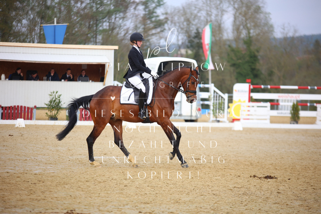 IMGT7982 | pl-fotografie