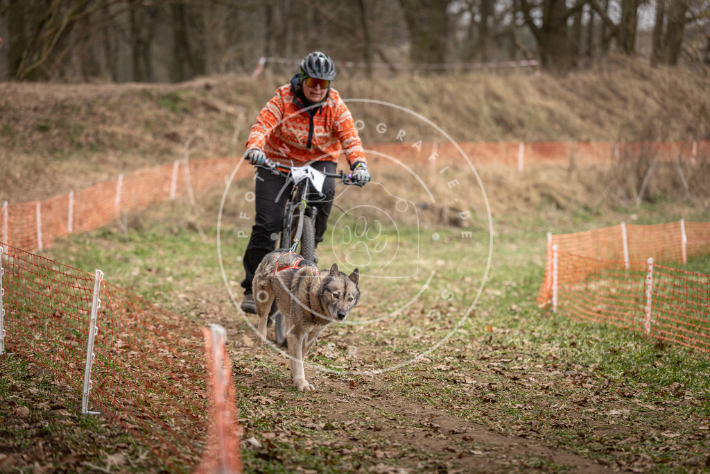 Pfotenfotografie_DV3A6931 | Hundefotografie, Tierfotograf, Pfotenfotografie, Fotoshooting Hund, Hunde Portrait, Hundesport, Hundeportraits, Heideshooting, Hunde, Sportfotograf, Hundefotograf, Turnierhundsport, THS,  - Realisiert mit Pictrs.com