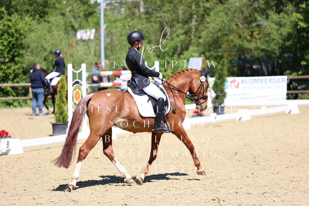 IMGS1341 | pl-fotografie