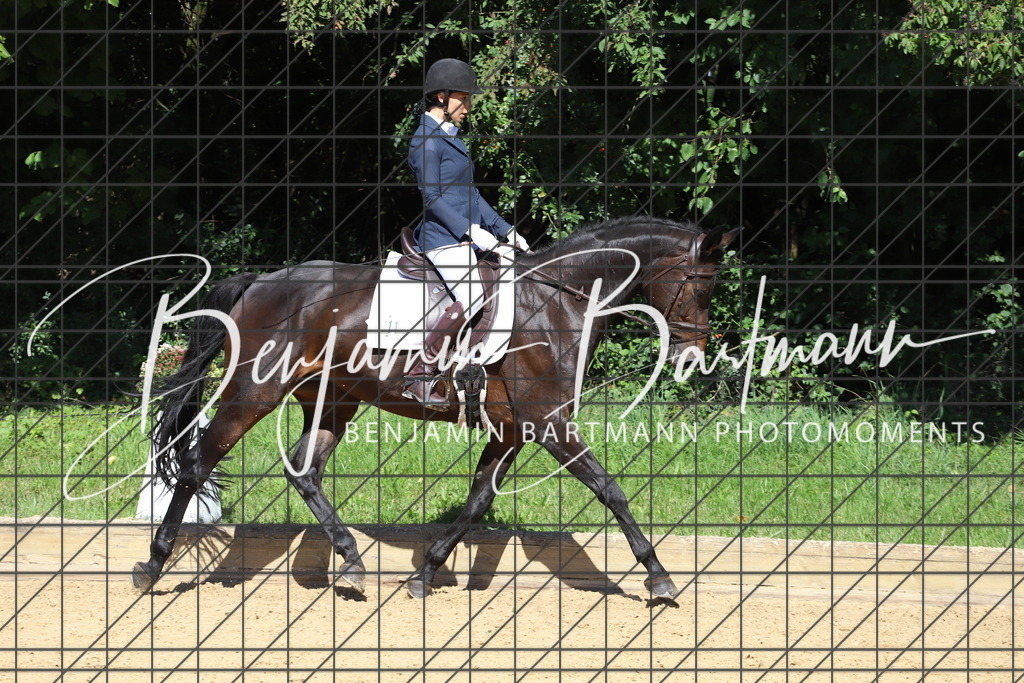 IMG_5894 | Benjamin Bartmann Photomoments