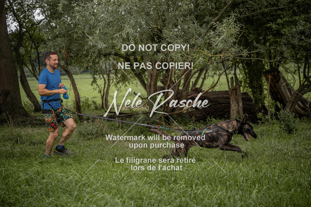 nelerasche_DoN_139 | nelerasche
