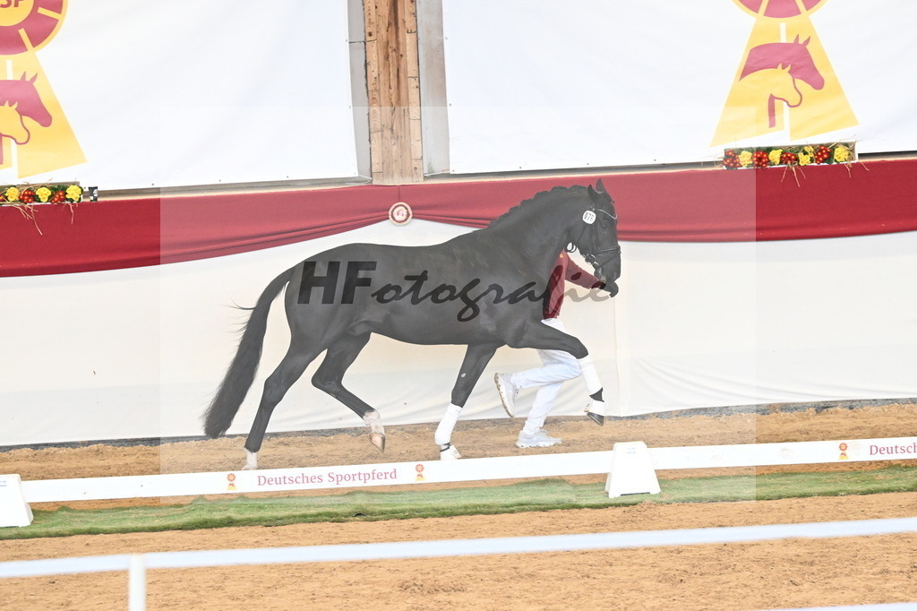 Kat.-Nr. 79 v. Toto Jr._Pfefferle_3260941 | hf-fotografie - Realisiert mit Pictrs.com
