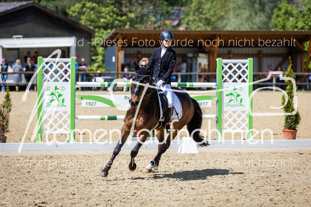 Donop24-RWB-014 | MomenTaufnahmen Pferdesportfotos