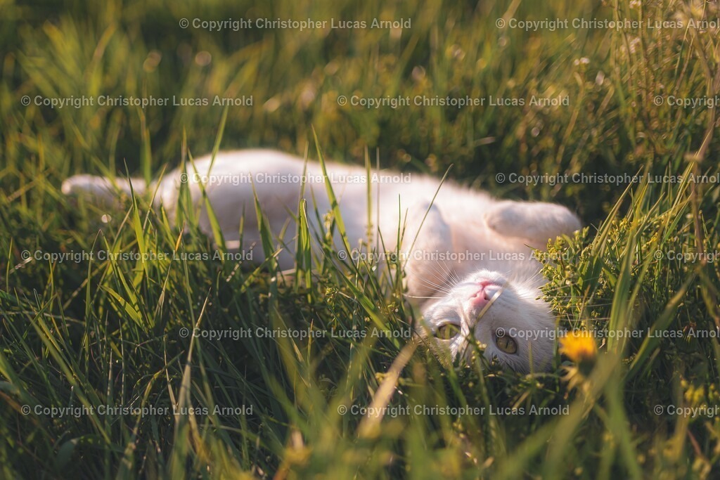 05 | bildkomponist - Realisiert mit Pictrs.com