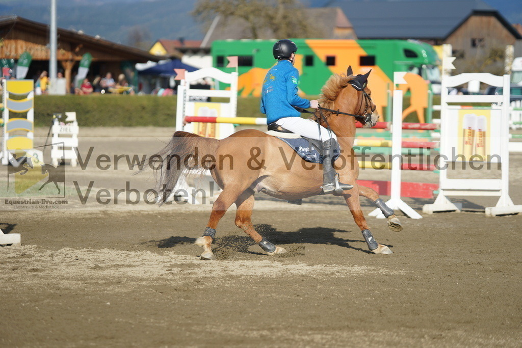 DSC03429 | equestrian-live-com
