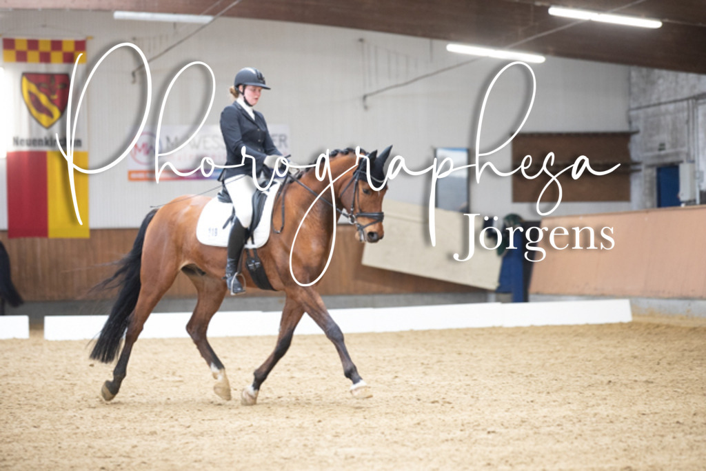 CANON_Canon EOS 5D Mark IV_119909376-119992216_1456 | photographesa-joergens - Realisiert mit Pictrs.com