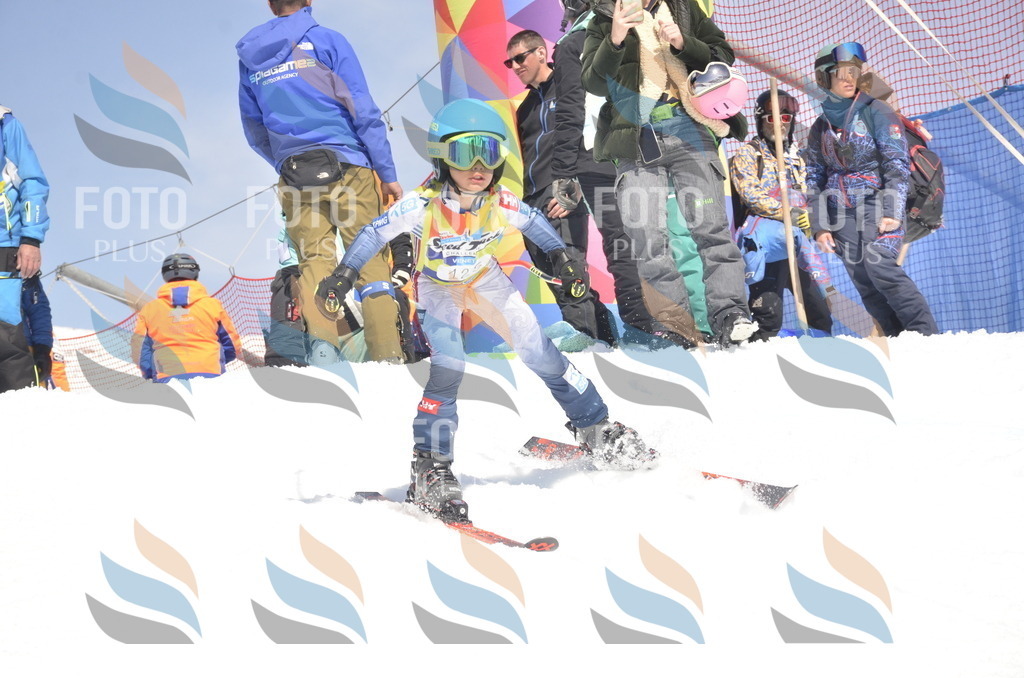 _ELE9595 | holidayphoto