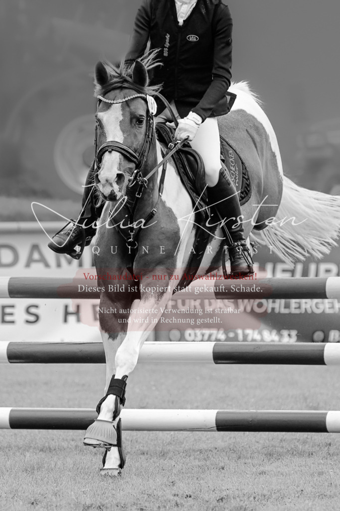 DSC_6260 | Pferde- und Turnierfotografie in Westsachsen. Pferdeportraits, Auftragszeichnungen und intuitive Kunst.