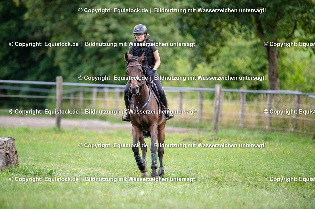 20250725_Vielseitigkeitslehrgang-Marbach_0504 | Foto: Thomas Hartig