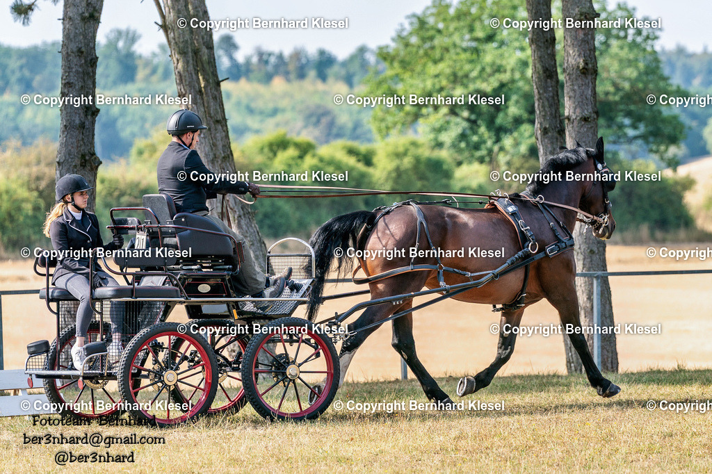 2A902060 | foto-team-bernhard - Realisiert mit Pictrs.com