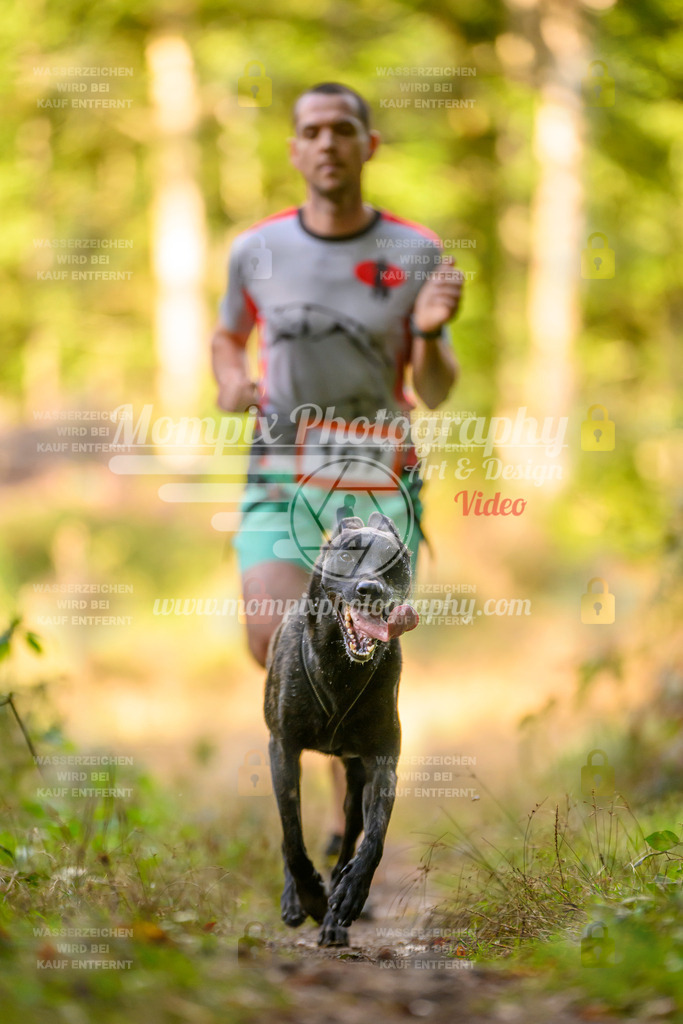 MompixPhotography_Yens2025_B3-200 | PayLife