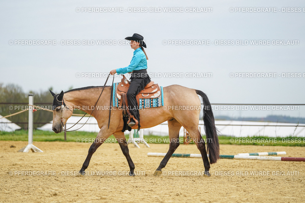 DSC03437 | Pferdegrafie