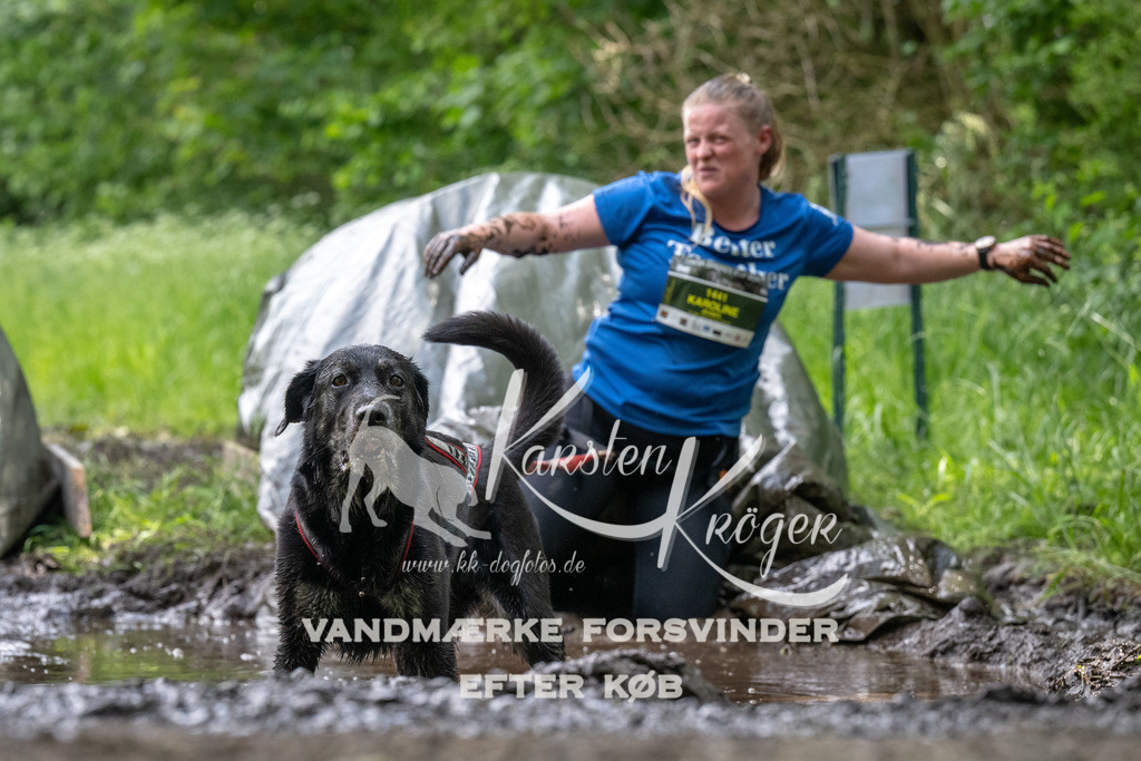 1245_ZZ93352 | kk-dogfotos