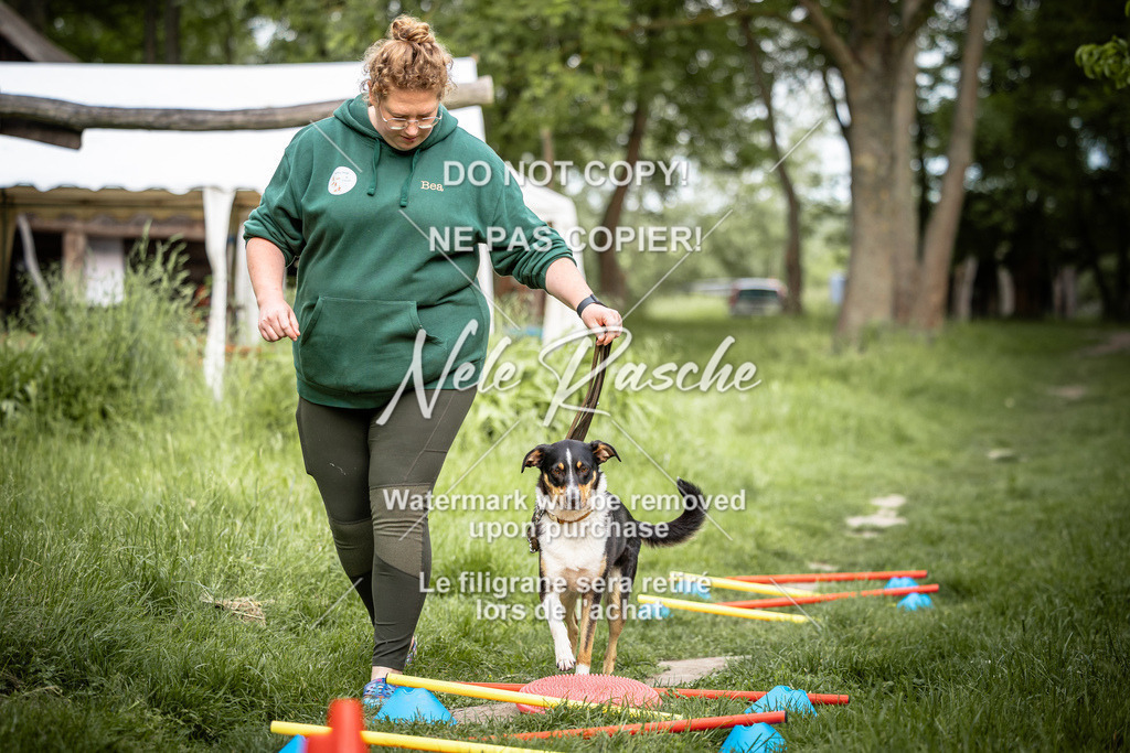 nelerasche_So-earlydog_24 | nelerasche