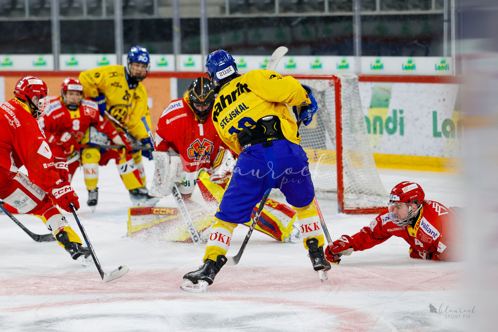 U21_EHCB vs HCD_wb20260308-0298 | Sportbilder, Sportfotograf, Hochzeits- und Eventfotografin, Flugshows, Portraits und Tiershooting, Aviation, Downhill, Nationalleague, Swissleague, International